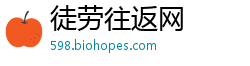 徒劳往返网